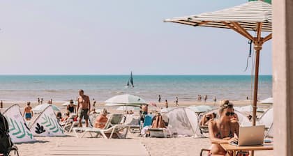 Skua Escape Zandvoort