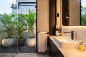 Shower, hair dryer, towels