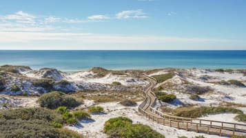 Playa en los alrededores