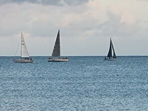 高級公寓, 海景 | 客房景觀