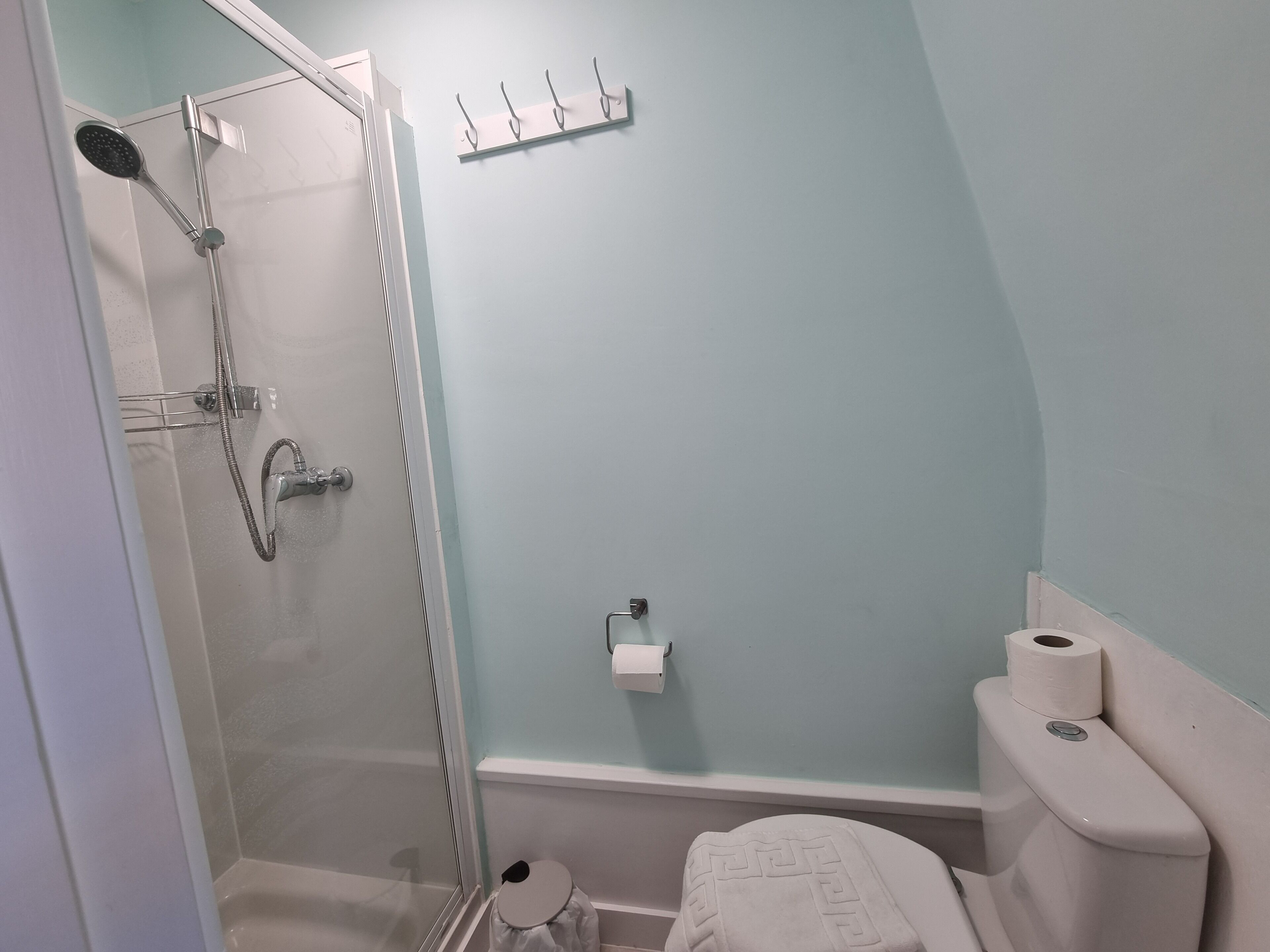 A bathroom with a glass shower enclosure, a toilet, and a small trash bin.