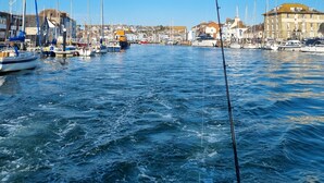 Uma marina com barcos atracados, céu claro e edifícios ao fundo.