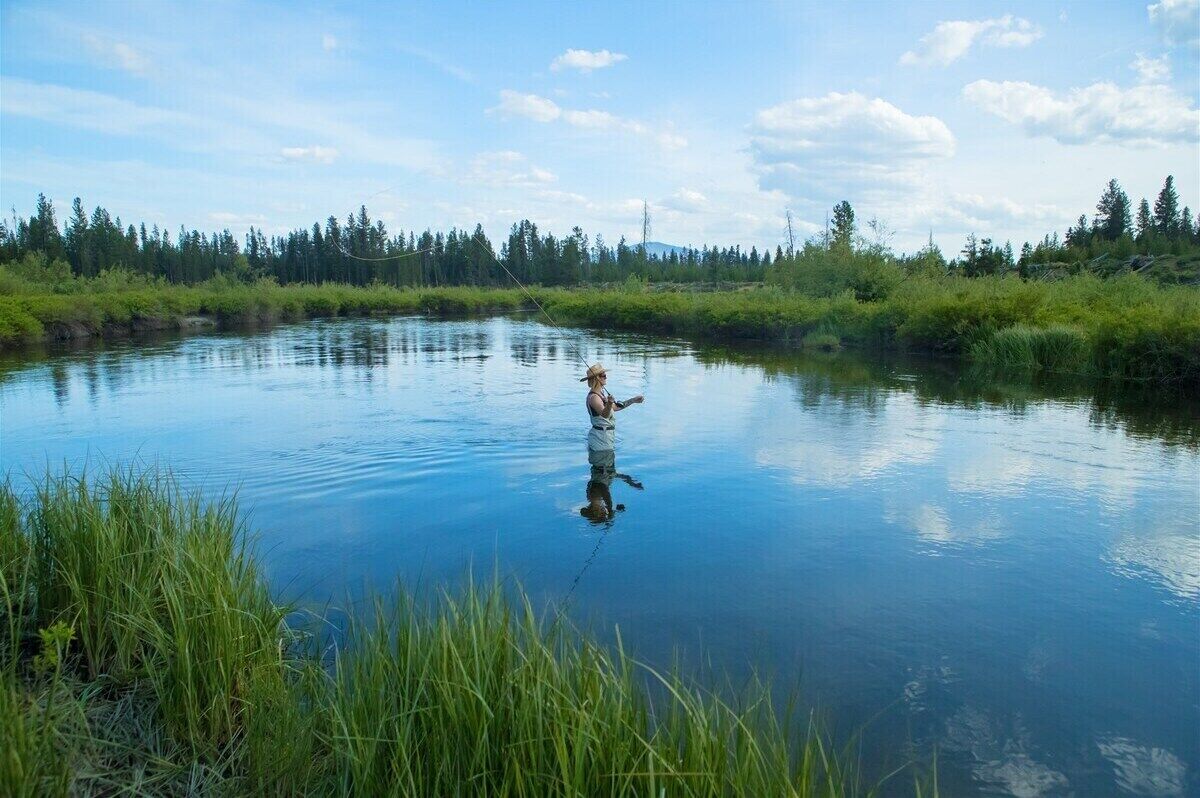 A person fishing in a calm river surrounded by lush greenery and trees.