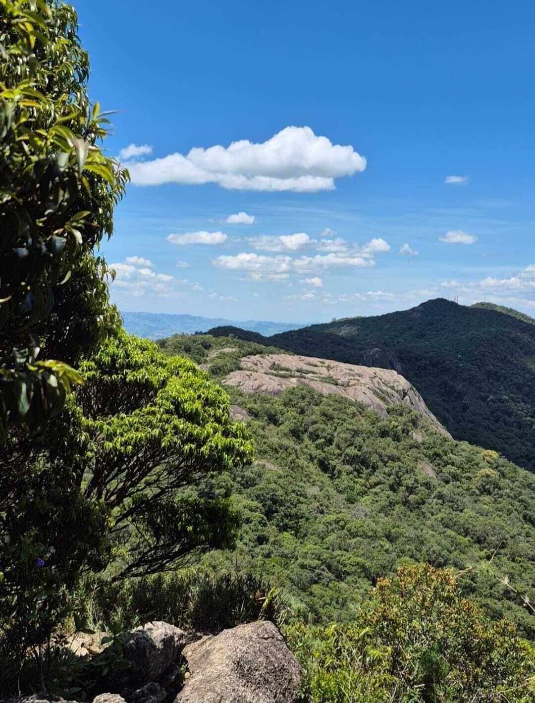 Paisagem montanhosa com floresta densa e terreno rochoso.