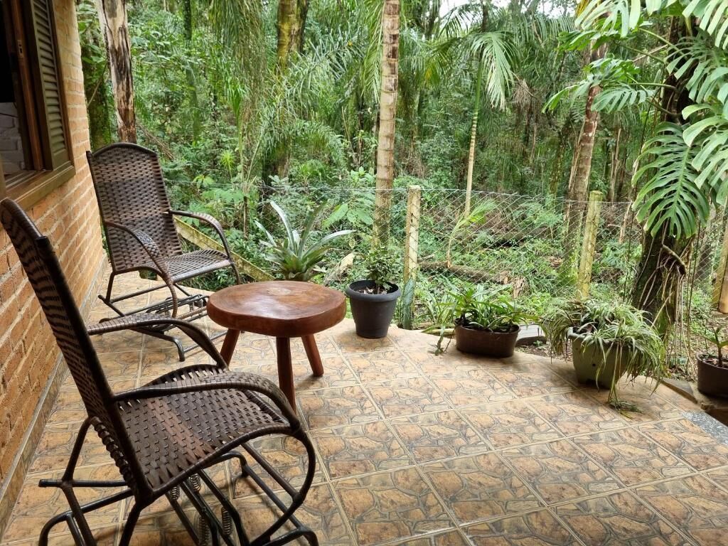 A patio with two wicker chairs and a small round table, surrounded by potted plants and a view of dense greenery.