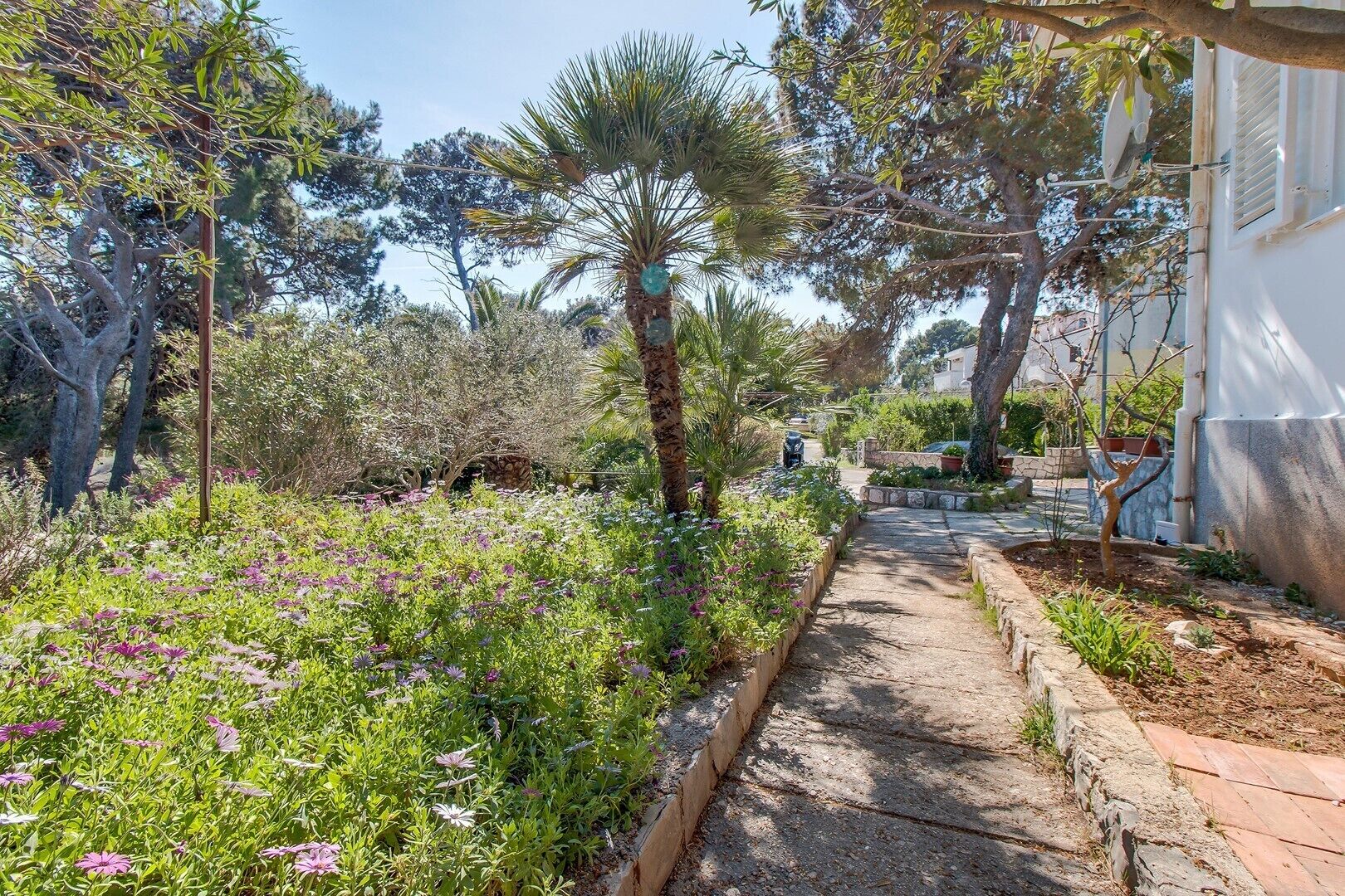 A garden pathway with various plants and trees, leading to a building with a white exterior.