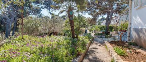 A garden pathway with various plants and trees, leading to a building with a white exterior.
