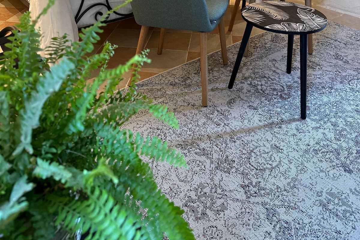 A cozy room with a bed, two chairs, a small table, and a large plant.