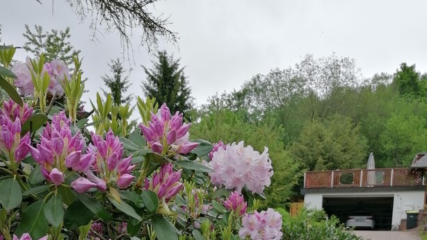 A garden with pink flowers and a garage in the background. - Vacation home "Green Emotion" (Suhl)
