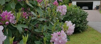 Vacation home "Green Emotion"