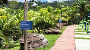 A pathway through a lush garden with a sign indicating 'Avenida Nefelibatas (Cuca Fresca)'. - Pousada Nefelibatas (Águas de Lindóia)