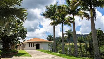 A building with a red-tiled roof, surrounded by palm trees and lush greenery.
