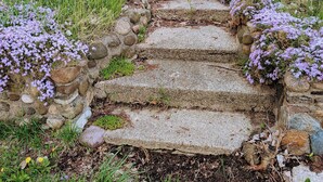 Un escalier en pierre, entouré de fleurs violettes et d’herbe.