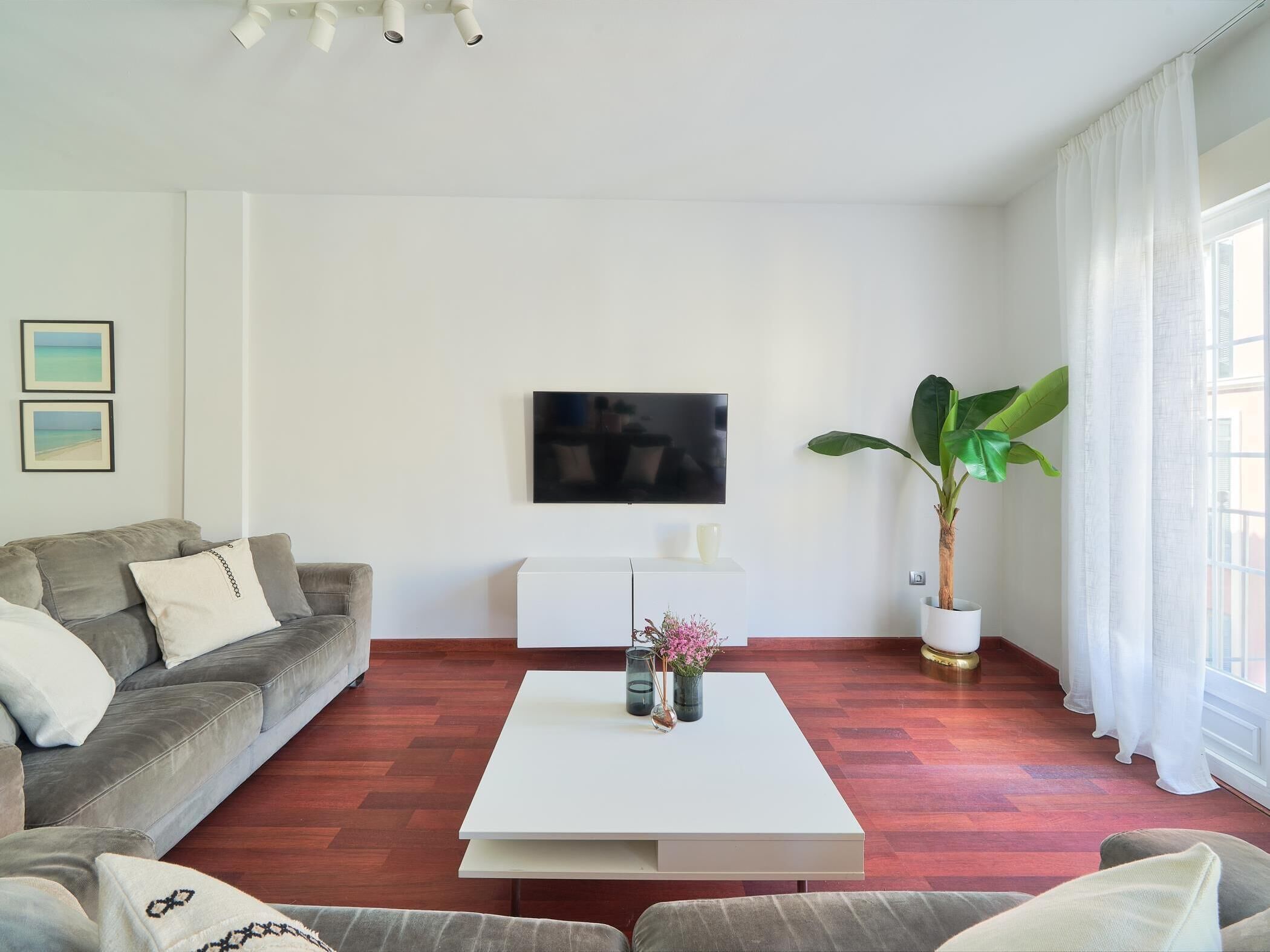 Una sala de estar moderna con un sofá gris, una mesa de centro blanca, un televisor montado en la pared y una planta grande en maceta.