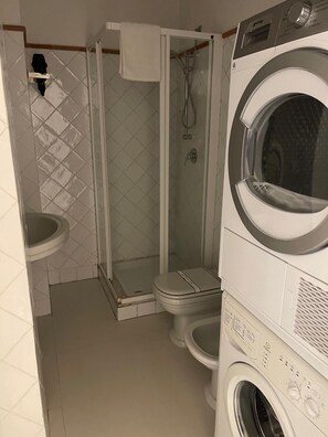 Shower, hair dryer, bidet, towels