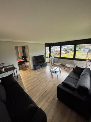 TV connectée, cheminée, livres, chaîne hi-fi