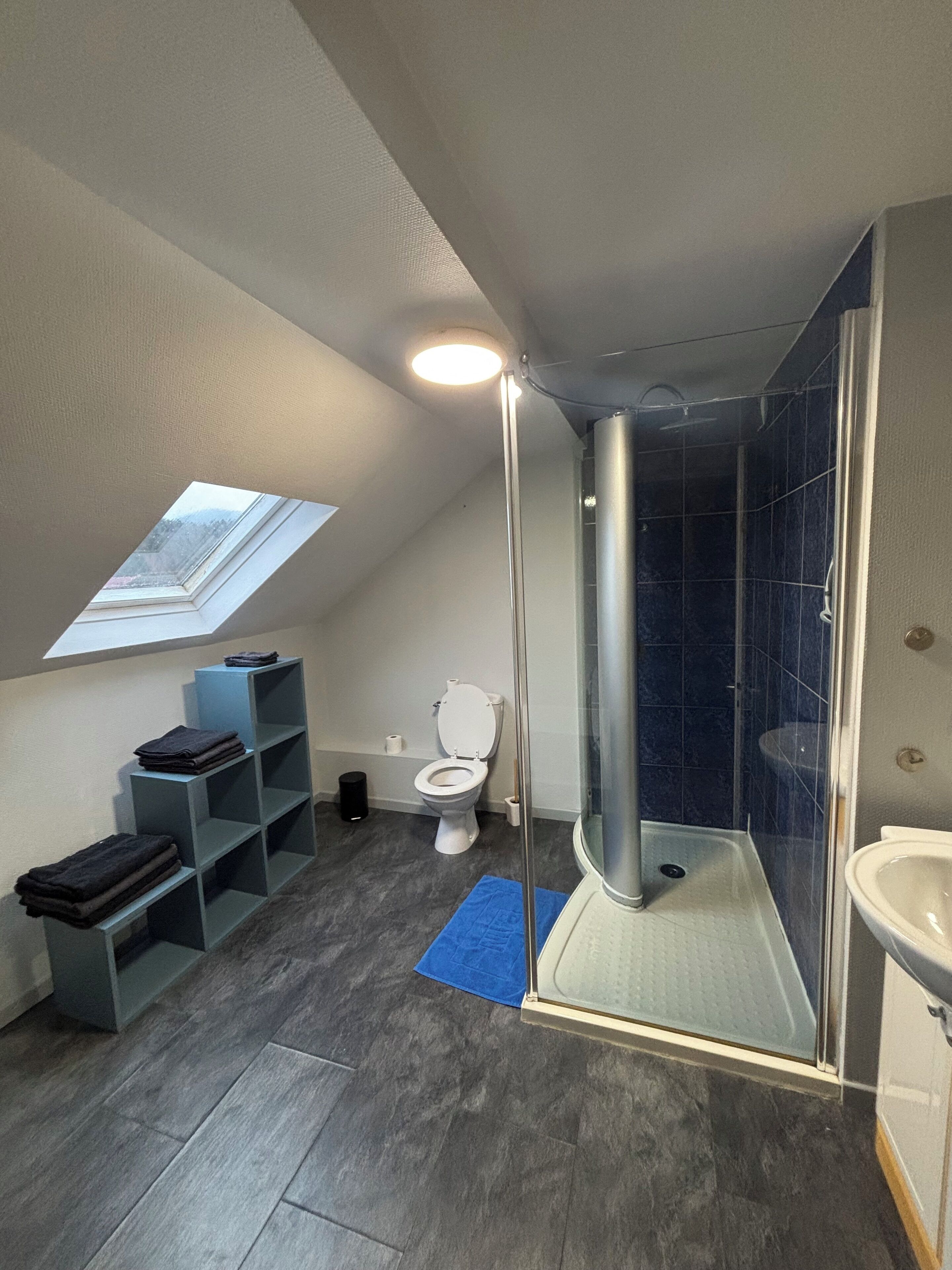Un bagno con finestra a lucernario, doccia, wc e lavandino.