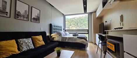 1 camera, ferro/asse da stiro, Wi-Fi, lenzuola