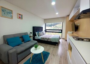 1 bedroom, iron/ironing board, Internet, bed sheets
