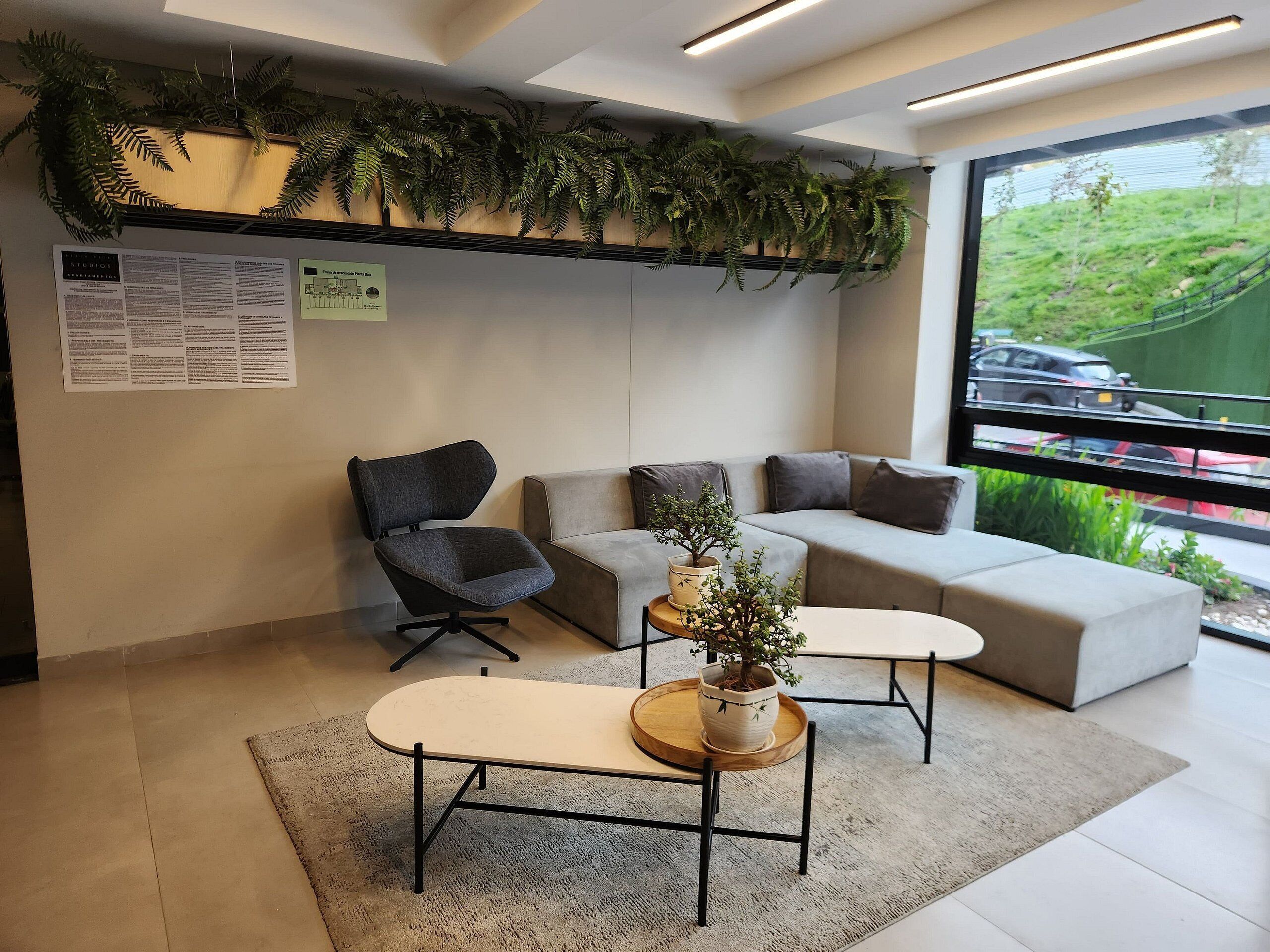 A modern waiting area with a sofa, chairs, and a small table with a plant.