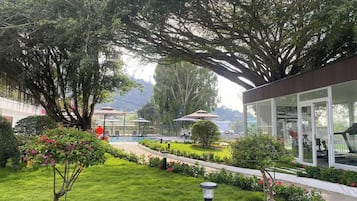 A garden with a pool, outdoor seating, and a modern building with glass walls.