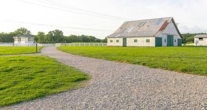 Bright And Airy-Historic Franklin Quadplex