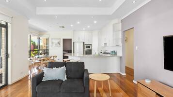 TV connectée, cheminée, lecteur de DVD