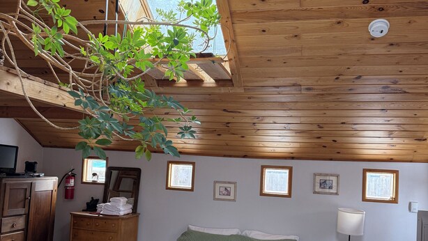 Unclassified image, 1 of 10, button - Charming cottage tucked away in trending Northeast Bozeman. (Bozeman)