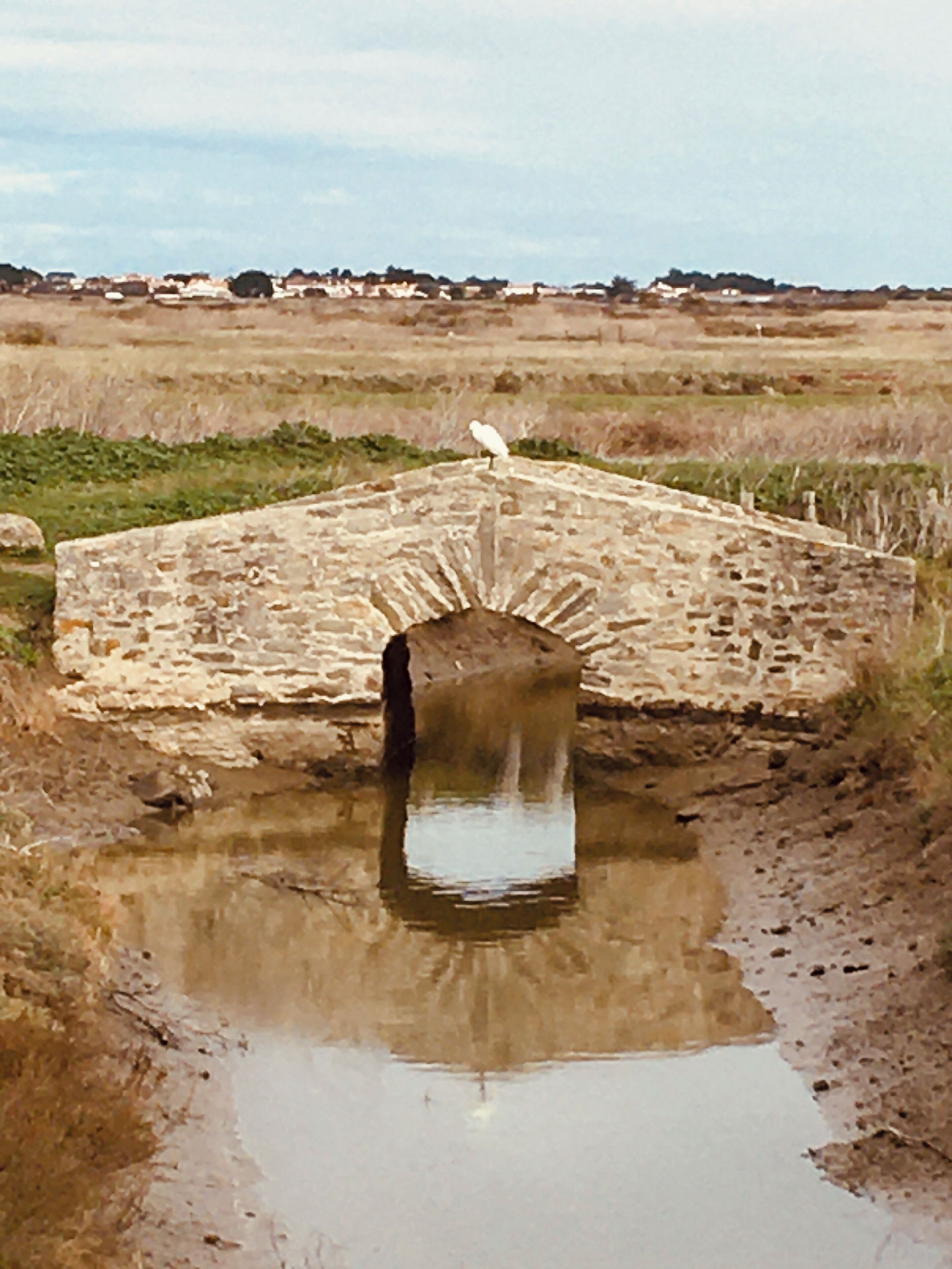 A stone bridge over a small body of water with a bird perched on top.
