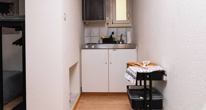 City Center Apartment Lucerne with free parking