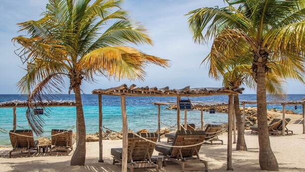 A beach with palm trees, wooden lounge chairs, and a thatched roof structure.