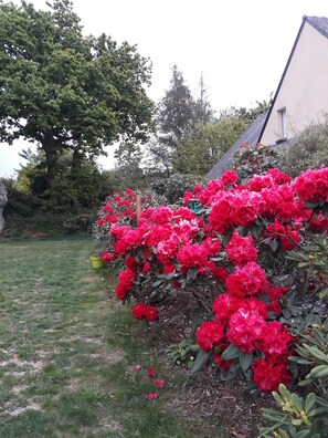 Property grounds - House 3 minutes from beaches and hiking, biking and walking trails. Rated 3* (Fouesnant)