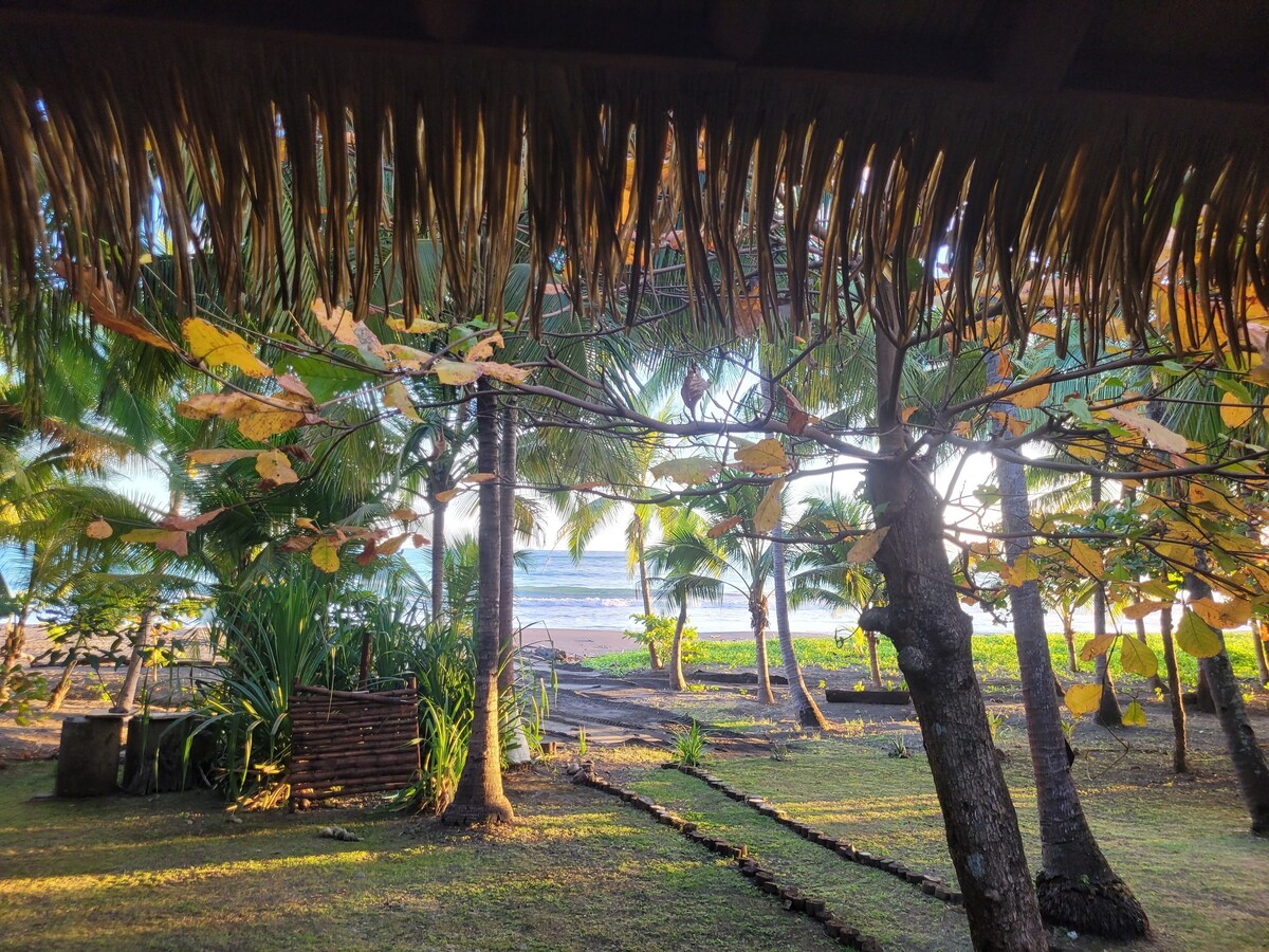 Tropical Beachfront Home in Cambutal thumbnail 4