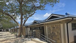 A row of modern, single-story buildings with stone facades, a paved walkway, and a large tree providing shade.