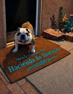 Um cão em pé num tapete de boas-vindas em frente a um prédio.