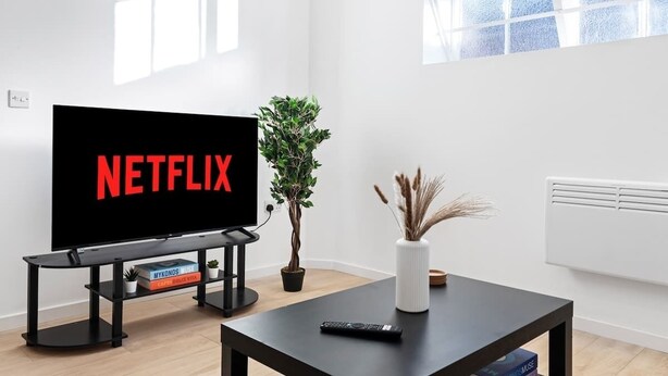 A modern living room with a television displaying 'NETFLIX,' a potted plant, a vase with dried plants, a remote control, and a bookshelf.