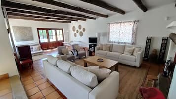 Smart TV, lareira, livros, biblioteca musical