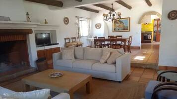 Smart-TV, Kamin, Bücher, Musikbibliothek