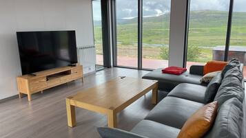 Smart-TV, Kamin