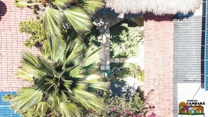 A rooftop garden with palm trees, a thatched roof, and a solar panel. - Pousada Cambará (Tamandaré)