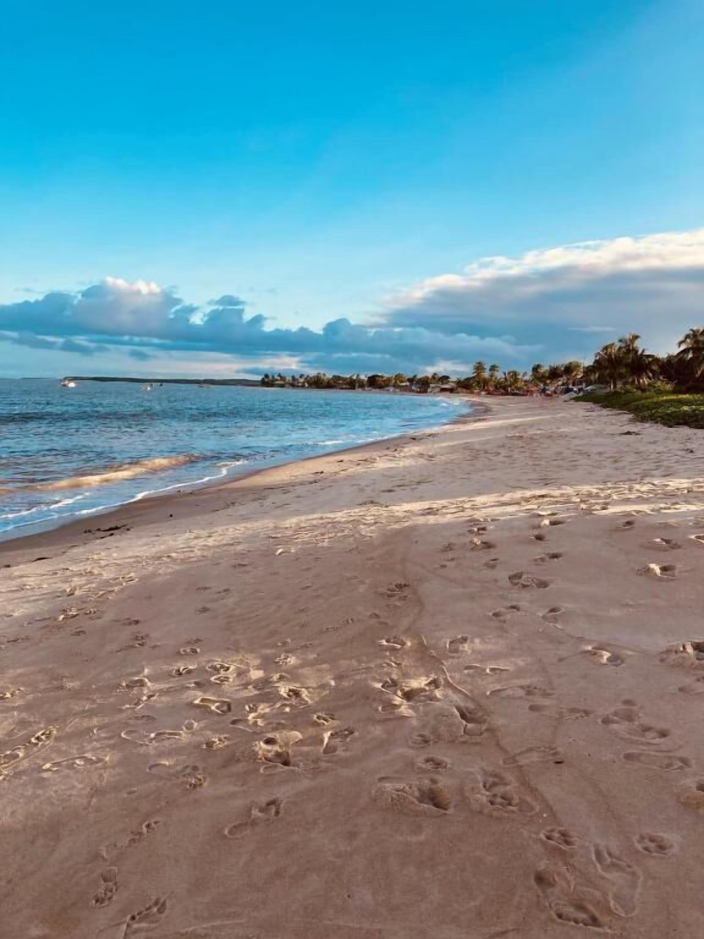 Land view from property