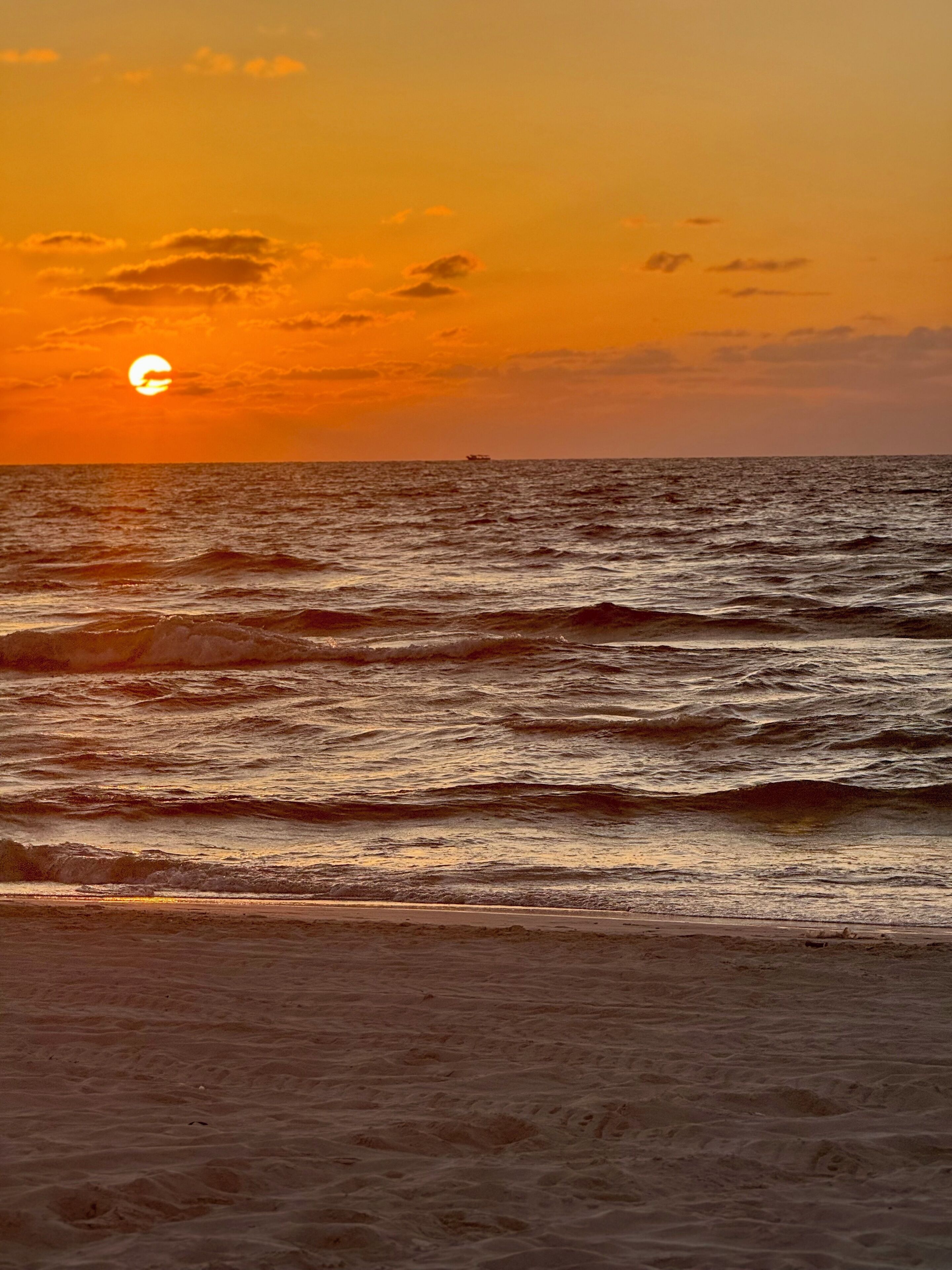 Foto - Bianchi Hotel