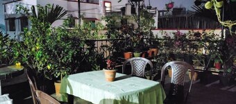 Tulip Guest house (Rooftop)