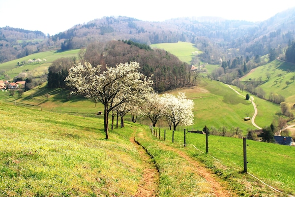 Aussicht oberhalb von unserer Ferienwohnung