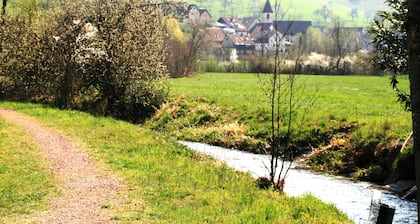 Dani's vacation apartment Experience nature & activity