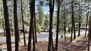 A forested area with a paved road and a building in the background.