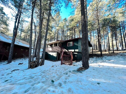 Cozy Cabin, Backs Up to Forest with Tesla Charger!
