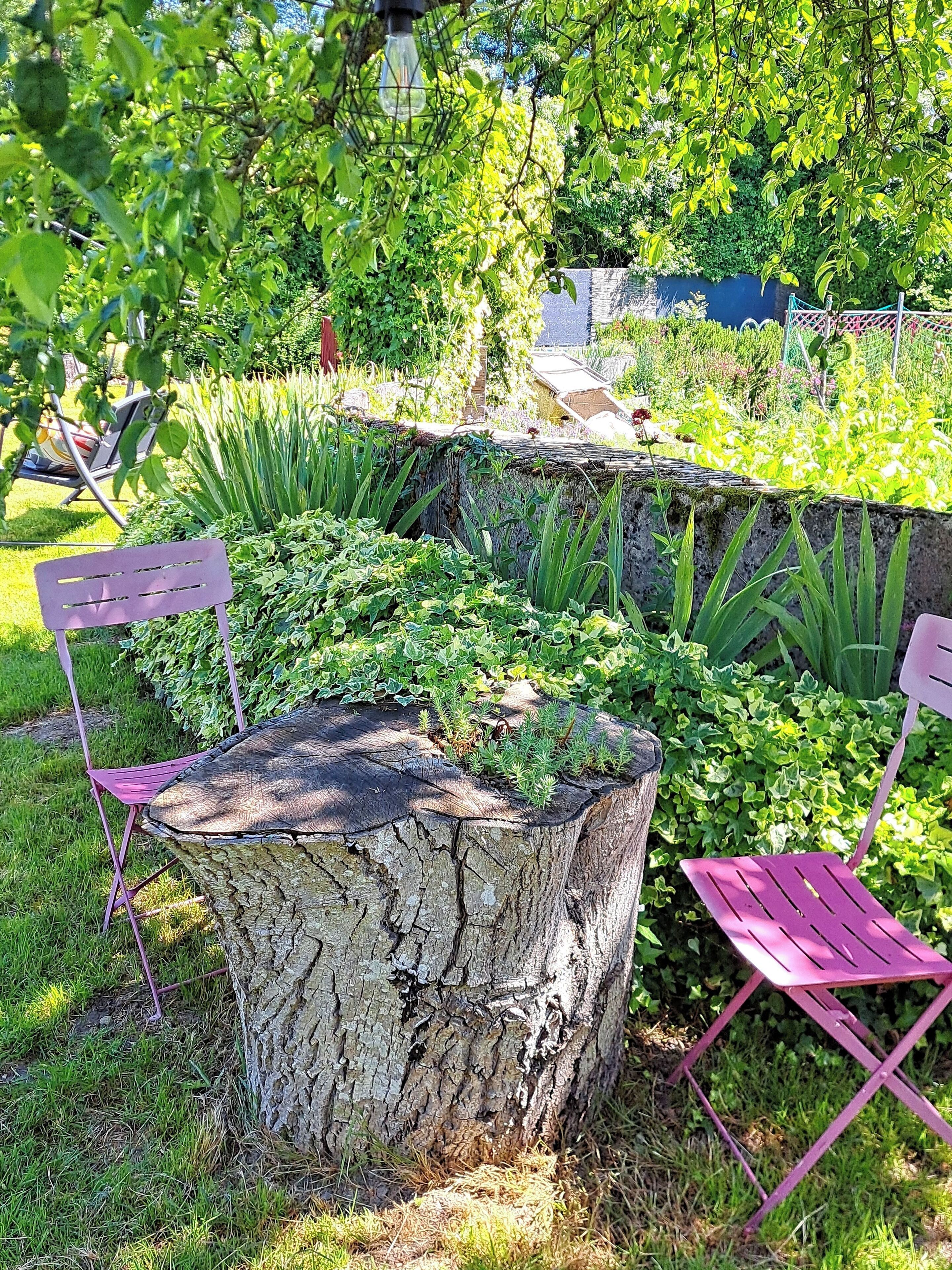 Un jardín con un macetero de tocón de madera, dos sillas plegables moradas y una variedad de plantas.