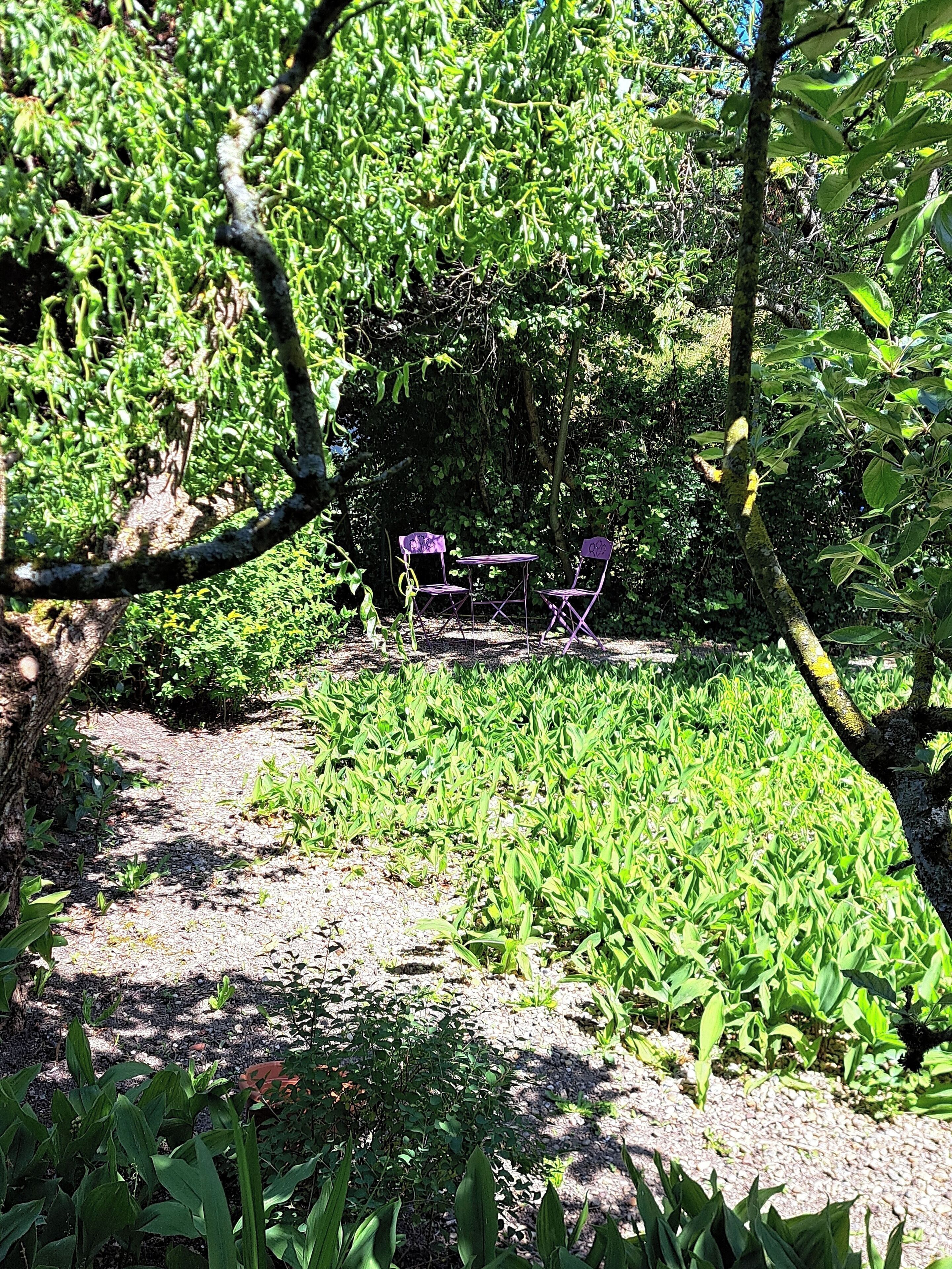 Ein Gartenbereich mit einem Kiesweg, umgeben von üppigem Grün und Bäumen. Im Hintergrund stehen zwei violette Stühle und ein kleiner Tisch.