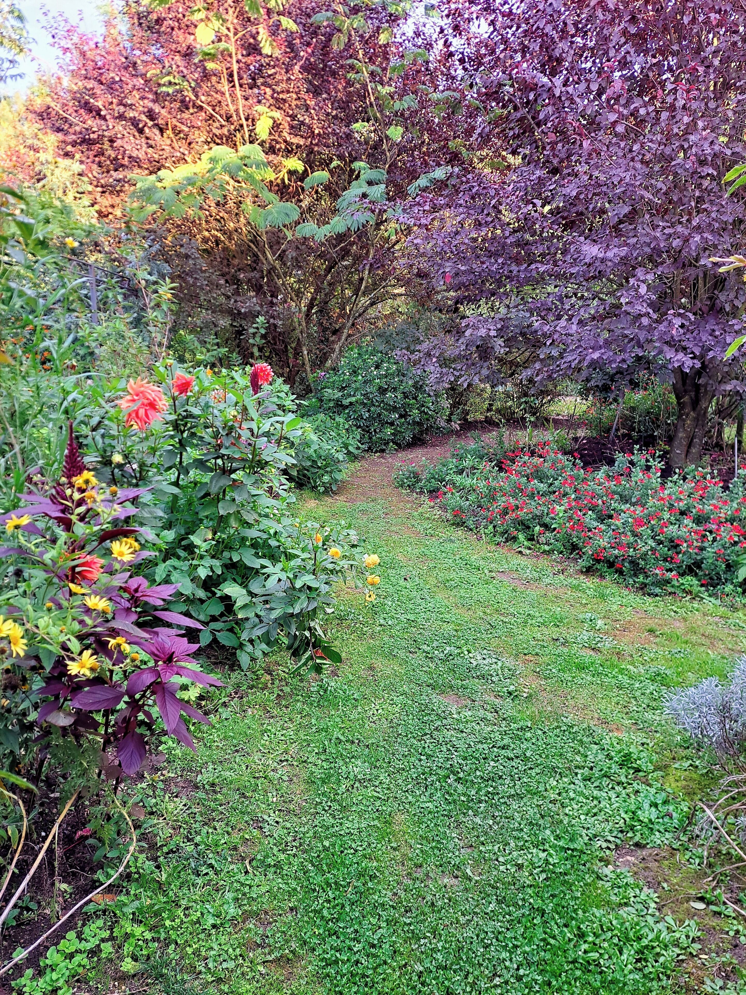 Un jardin où l’on trouve une grande variété de plantes et de fleurs, un sentier bordé de gazon et des arbres en arrière-plan.